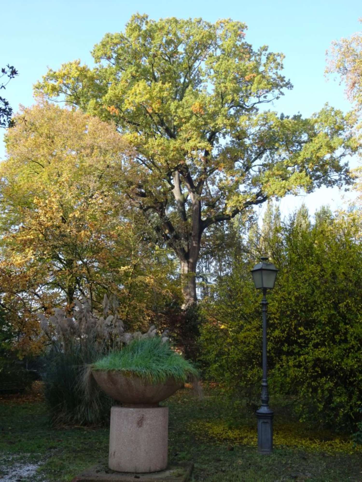 Farnia_Castel Maggiore_Villa Salina_Ghedini(1)